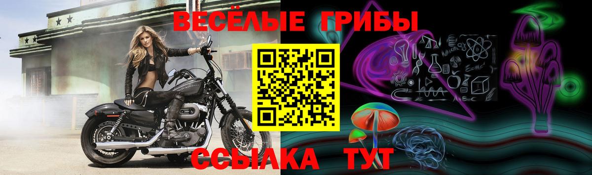 Галлюциногенные грибы Psilocybe  Псилоцибиновые грибы Psilocybine cubensis  Новочеркасск  Вход с VPN 