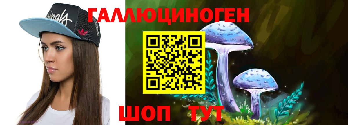 Псилоцибиновые грибы Cubensis Новочеркасск